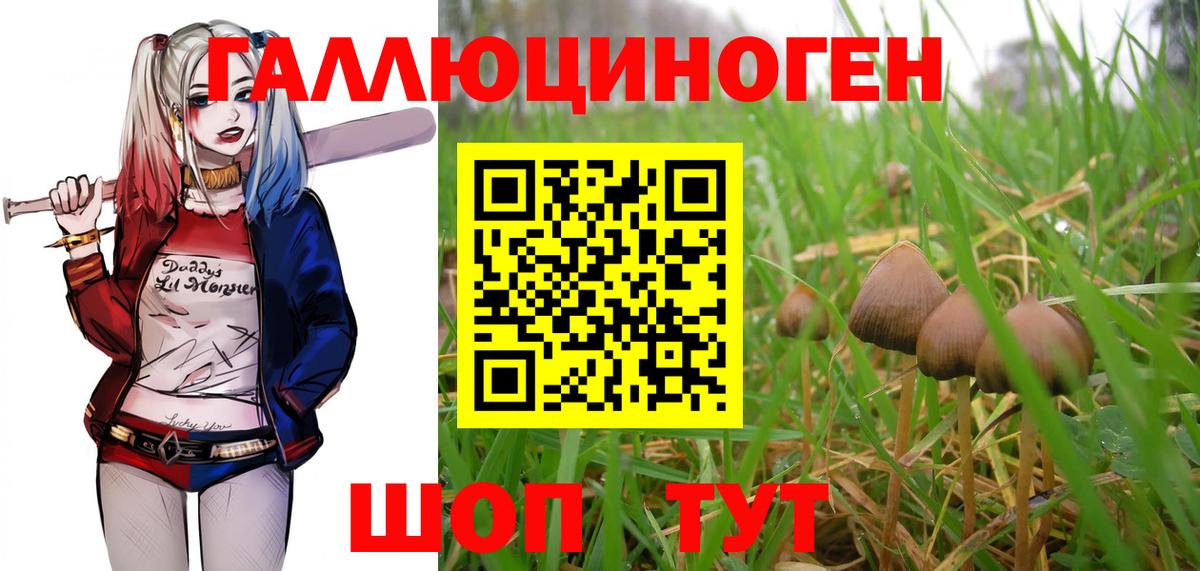 Галлюциногенные грибы мицелий  Вход с VPN  Джанкой 