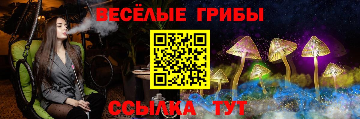 Галлюциногенные грибы GOLDEN TEACHER Джанкой